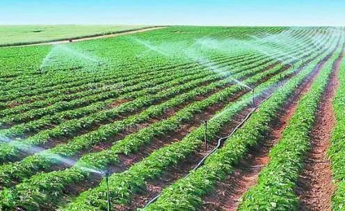 国内大屌操逼农田高 效节水灌溉